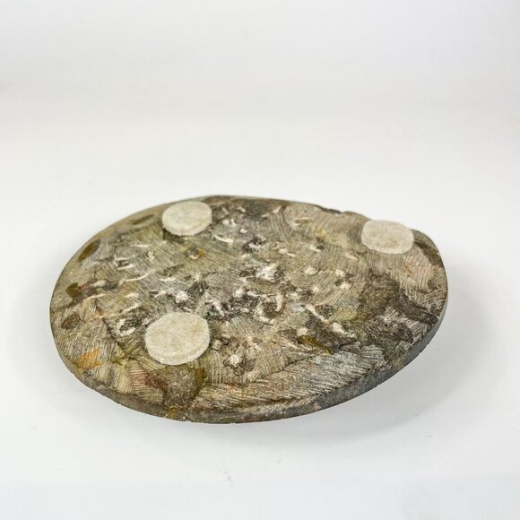 Polished Ammonite Fossil Brown Paperweight In Matrix 5.5" - Picture 6 of 6